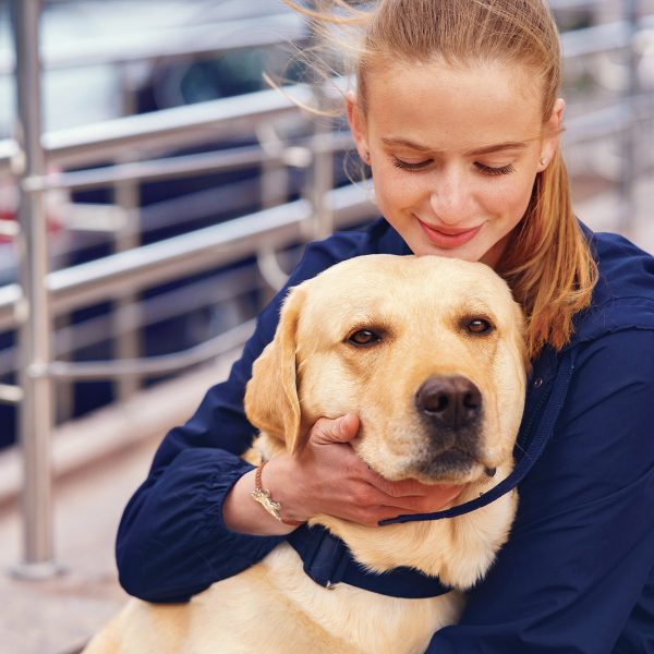 Cane salvato da Maltrattamento