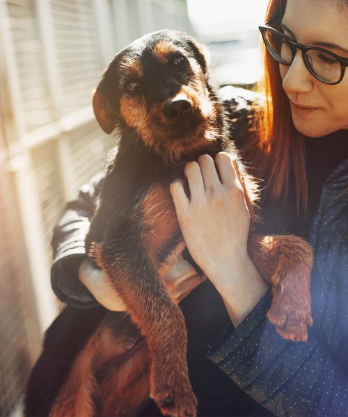 Volontaria DEA adotta cane dal canile